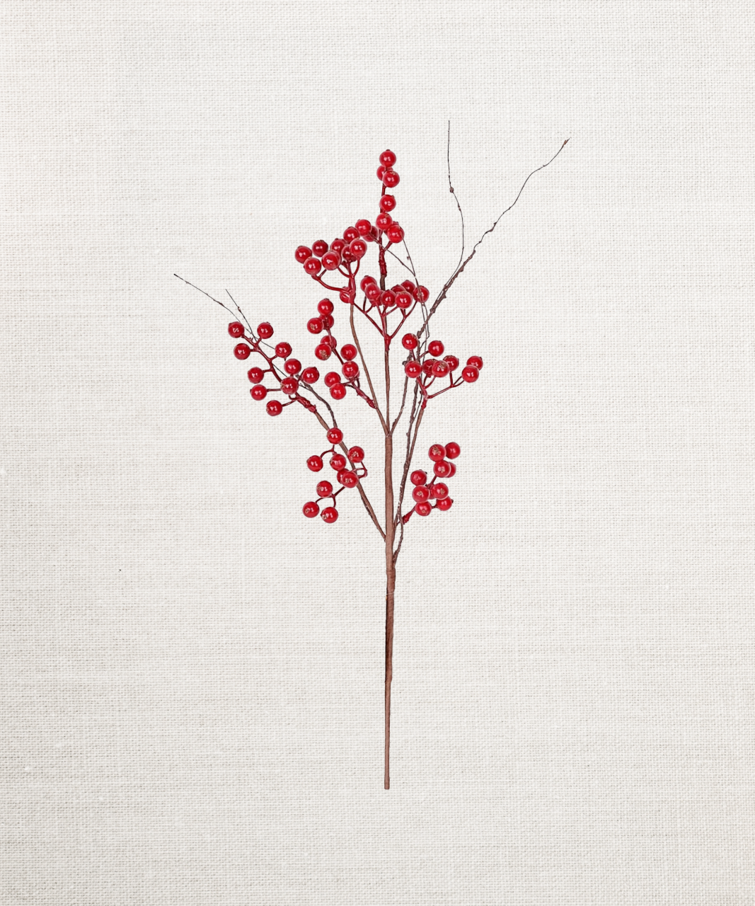 19in Pick-Red Ash Berries w/ Wispy Twigs
