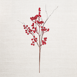 19in Pick-Red Ash Berries w/ Wispy Twigs