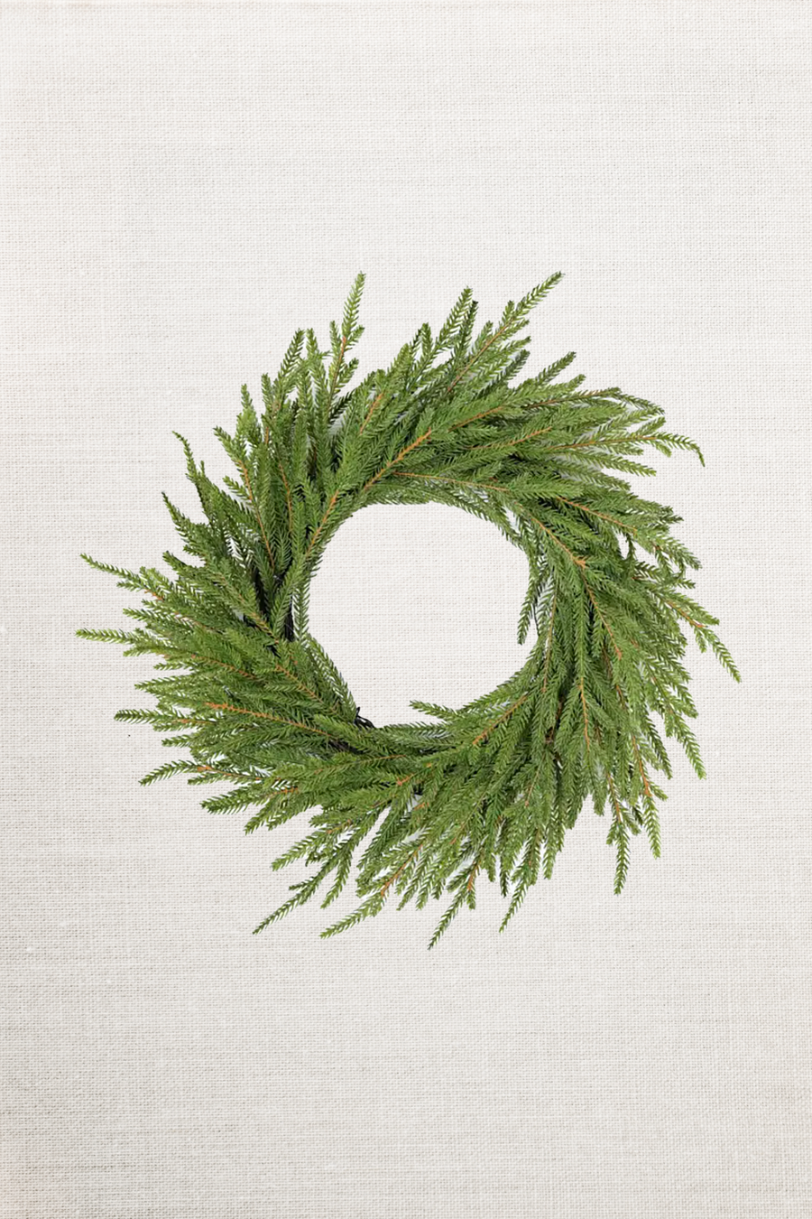 20in Wreath Soft-Touch Faux Norfolk Wreath