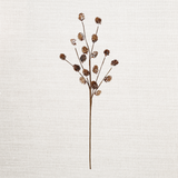 24in Spray-Snowy Natural Birchcones
