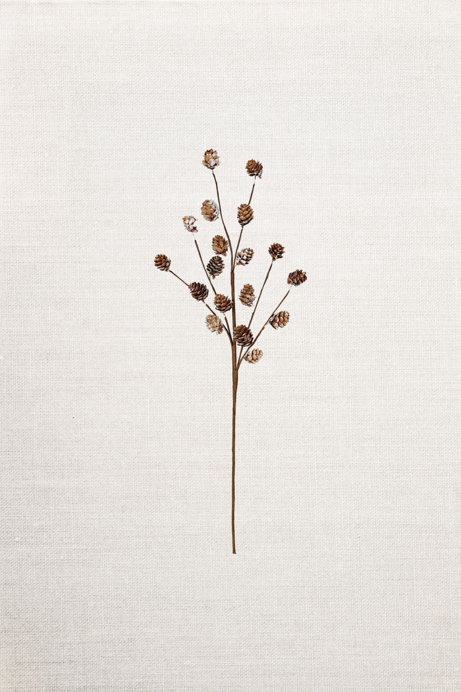 19in Snowy Natural Birchcones Pick