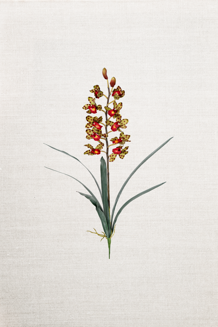 32in Cymbidium Faux Orchid w/ Leaves Bush- Poka Dot
