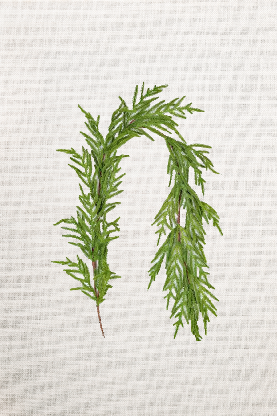 5ft Sparse Garland Soft-Touch Faux Norfolk Garland