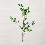 Artificial Real Touch Aglaia Odorata Spray
