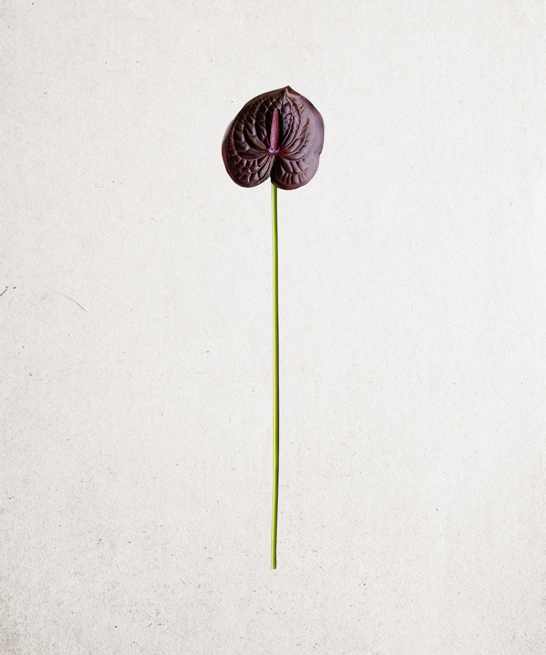Faux Anthurium Stem