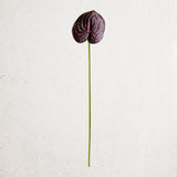 Faux Anthurium Stem