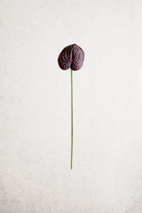 anthurium faux Faux Anthurium Stem – Casa Refined Shop