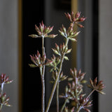 Artificial Lifelike Eucalyptus Bud Spray