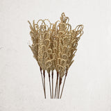 Dried Braided Palm Cord Branch Bouquet