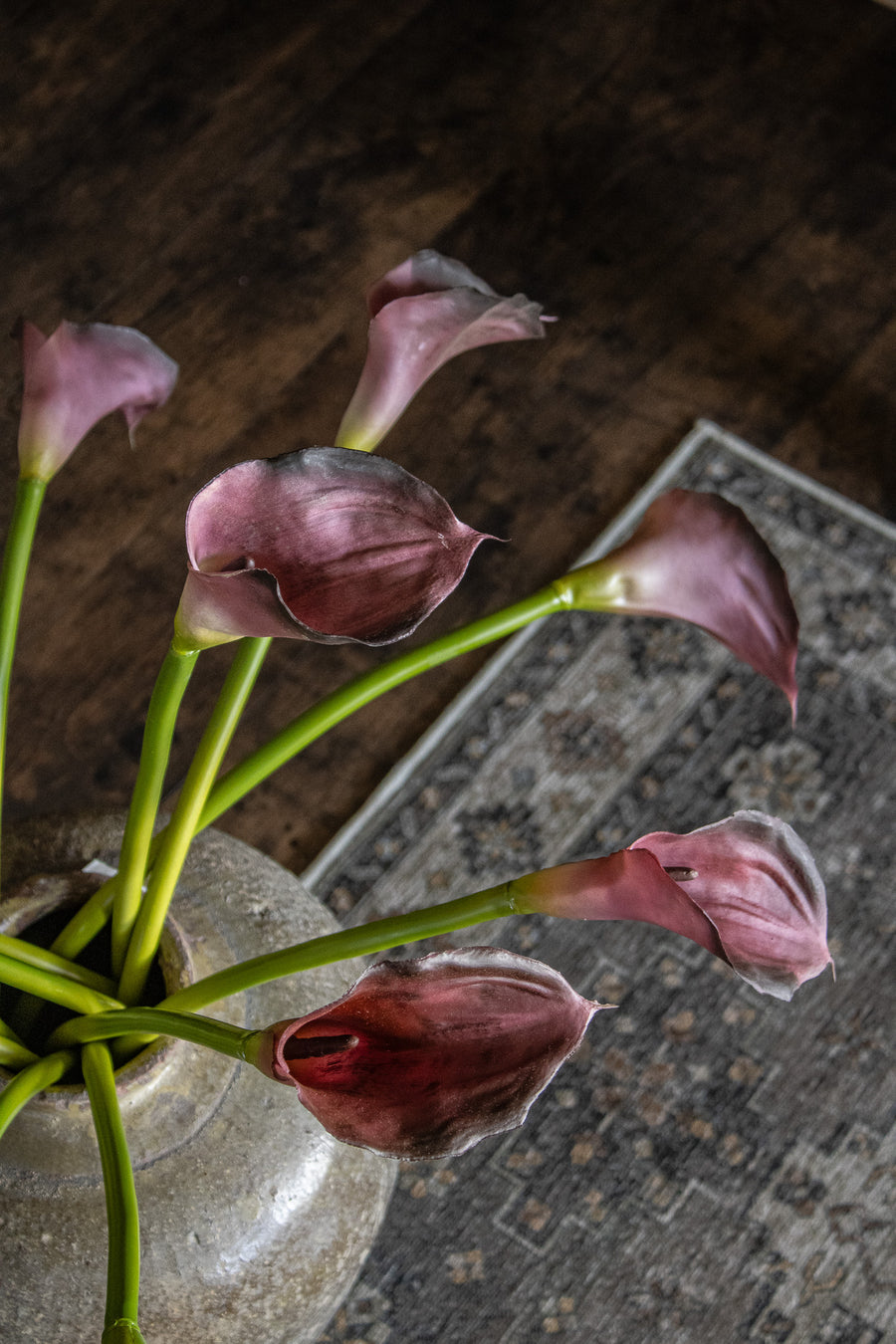 Large Burgundy Calla Lily Stem
