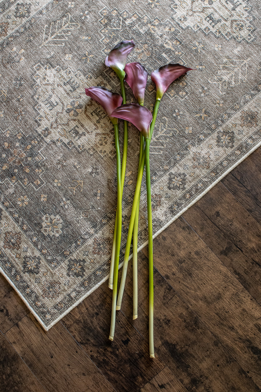 Large Burgundy Calla Lily Stem