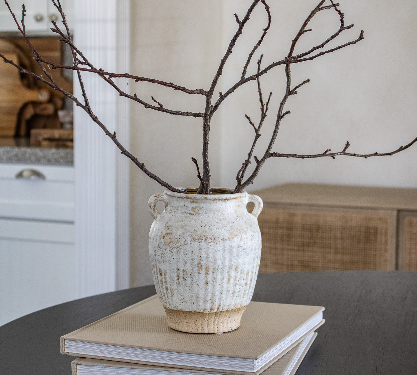 Real Dried Branch Stems