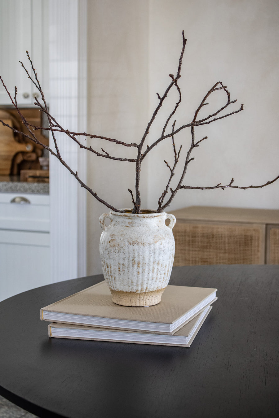 Real Dried Branch Stems