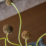 Faux Craspedia Floral Bunch - Brown Color
