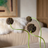 Faux Craspedia Floral Bunch - Brown Color
