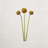 Faux Craspedia Floral Bunch