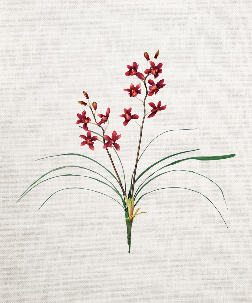 Cymbidium Faux Orchid with Leaves Bush Spray - Burgundy Color