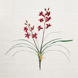 Cymbidium Faux Orchid with Leaves Bush Spray - Burgundy Color