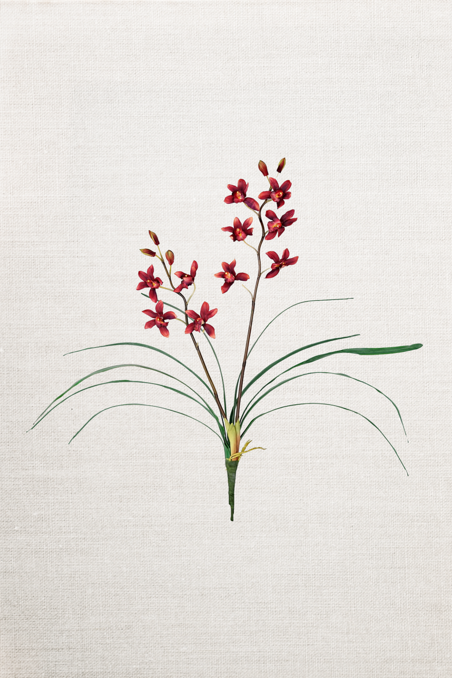 Cymbidium Faux Orchid w/ Leaves Bush Spray