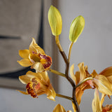 Cymbidium Faux Orchid with Leaves Bush - Mustard Color