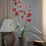 Cymbidium Faux Orchid with Leaves Bush Spray - Burgundy Color