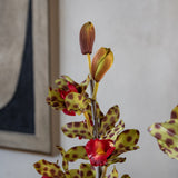 Cymbidium Faux Orchid with Leaves Bush - Poka Dot Color
