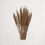 Dried All Natural Cattail Bundle