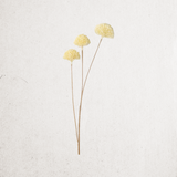 Faux Dried Allium Bud Spray