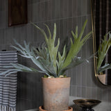 Faux Lifelike Staghorn Fern Stem