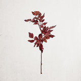 Faux Plum Cimicifuga Ramosa Leaf Spray