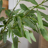 Natural Touch Eucalyptus Spray