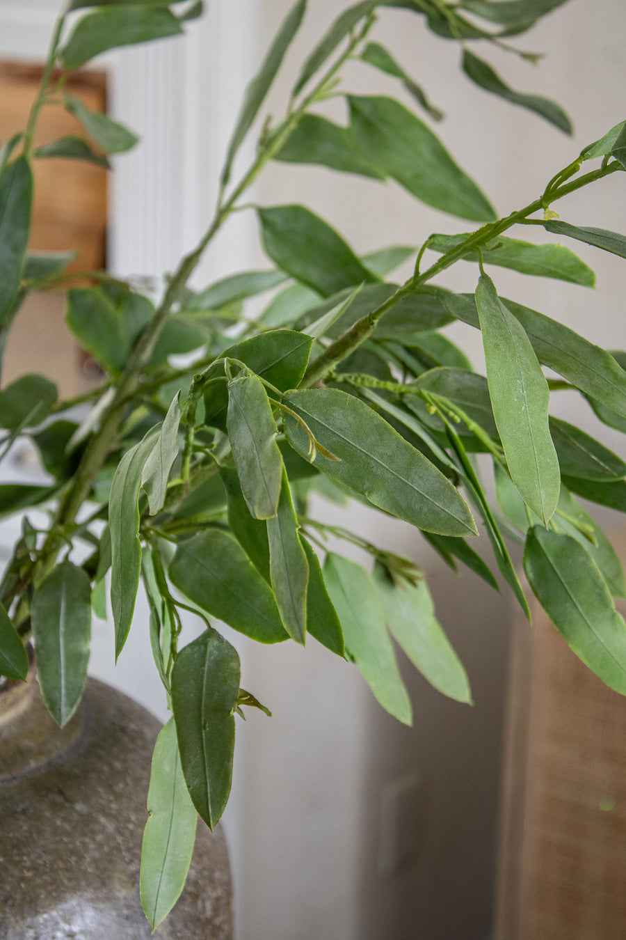 Natural Touch Eucalyptus Spray