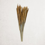 Dried Natural Grass Bundle