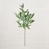 Natural Touch Eucalyptus Spray