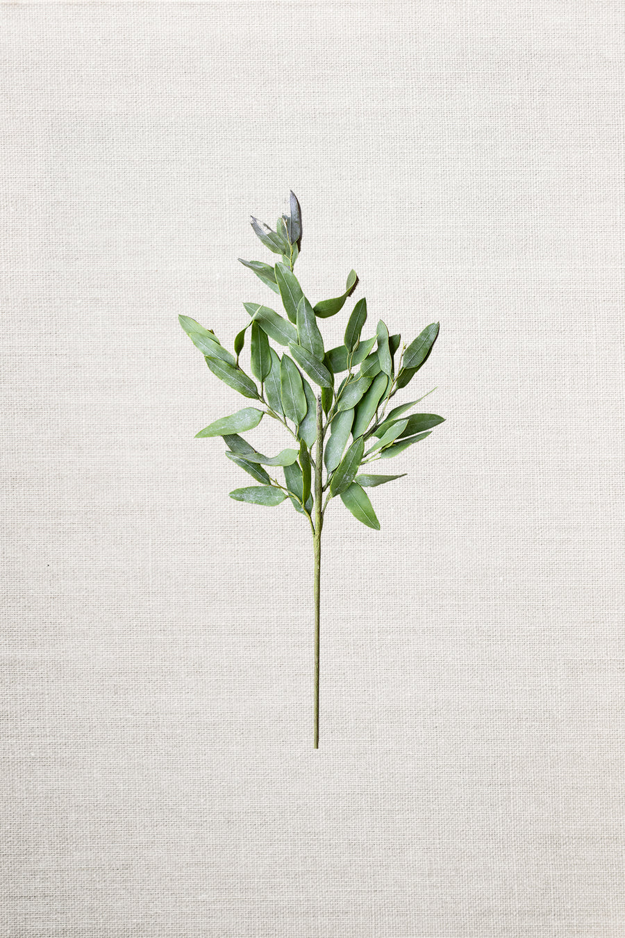 Natural Touch Eucalyptus Spray