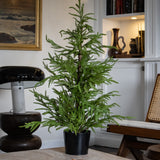 36in Soft Touch Faux Norfolk Pine Tree