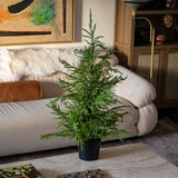 36in Soft Touch Faux Norfolk Pine Tree
