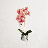 Faux Real Touch Potted Pink Orchid