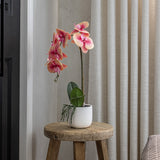 Faux Real Touch Potted Pink Orchid