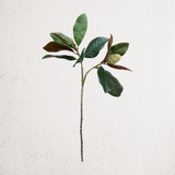 Faux Real-Touch Magnolia Leaf Branch