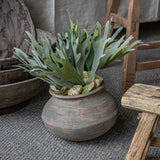 Faux Lifelike Staghorn Fern Stem