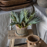 Faux Lifelike Staghorn Fern Stem