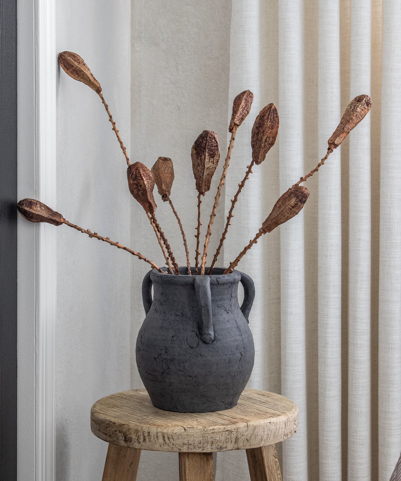 Dried Brushed Copper Simeon Pod Bundle
