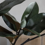 Faux Real-Touch Magnolia Leaf Branch