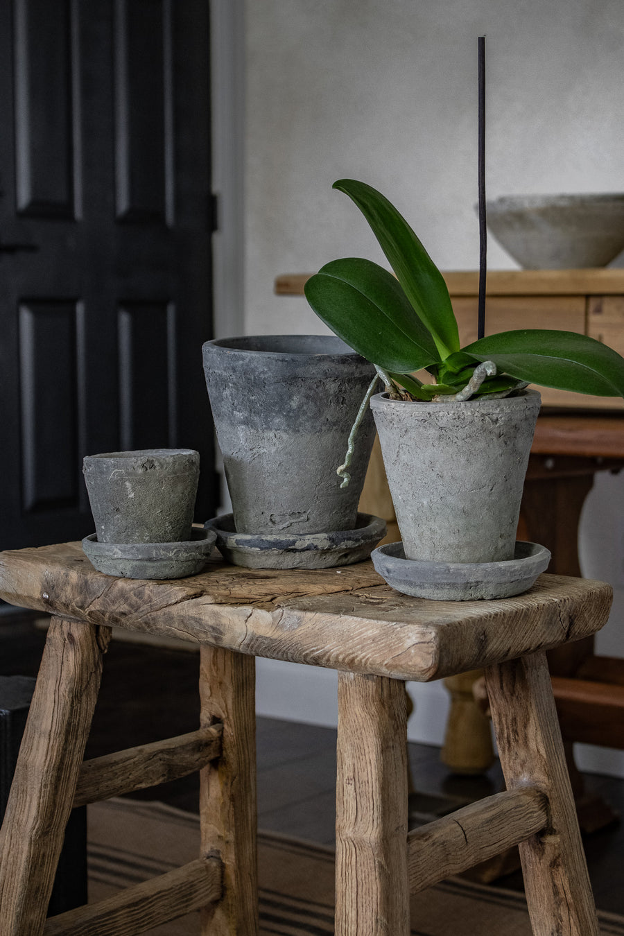 grey terracotta plant pots Rustic Terracotta Pot