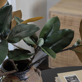 Faux Real-Touch Magnolia Leaf Branch