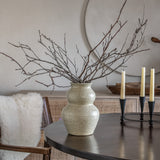 Real Dried Branch Stems