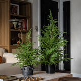 36in Soft Touch Faux Norfolk Pine Tree