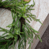 20in Wreath Soft-Touch Faux Norfolk Wreath