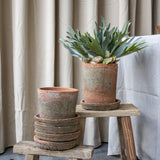 Rustic Terracotta Cylinder Planter